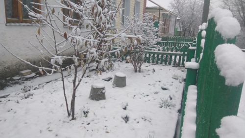 Синоптики РТ сообщили о потеплении до -28˚