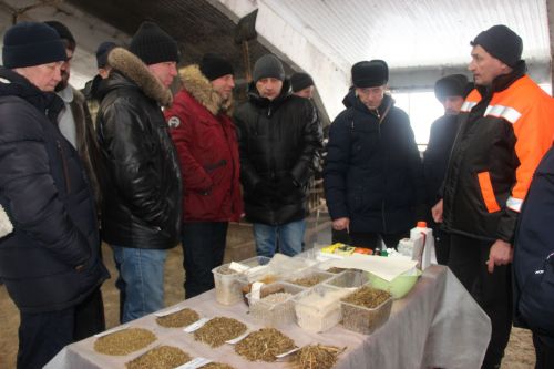 Повысить продуктивность молочного стада