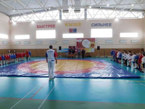 В Тетюшах прошел спортивный праздник для самбистов