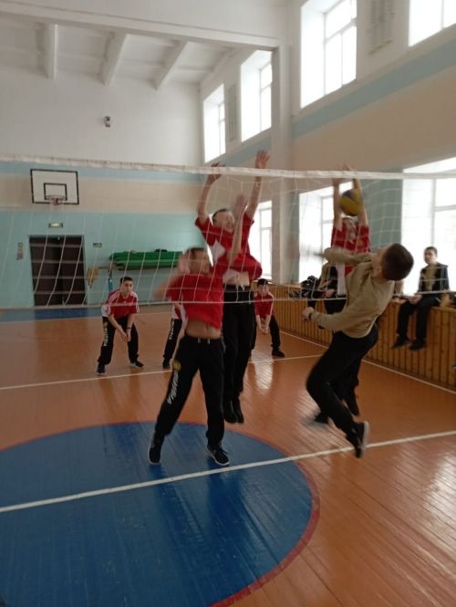Состоялись школьные соревнования по волейболу