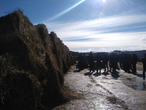 В ходе сельхозсеминара рассмотрены вопросы готовности хозяйств к проведению полевых работ