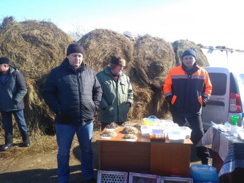 В ходе сельхозсеминара рассмотрены вопросы готовности хозяйств к проведению полевых работ