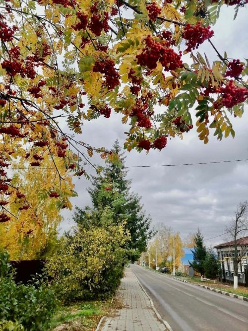 В Тетюшах в ЦДО проходит фотовыставка «Мой родной край»