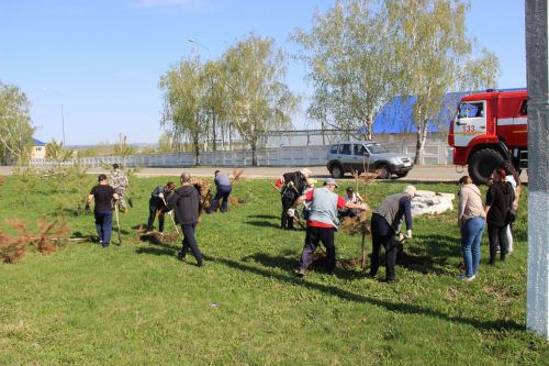 Жители города Тетюши приняли участие во Всероссийской акции по высадке деревьев «Сад памяти»