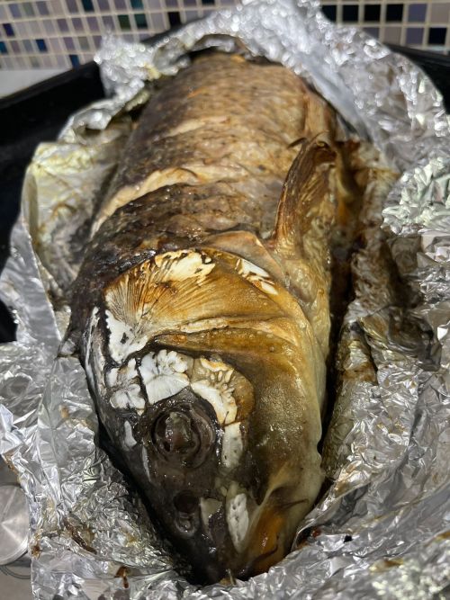 Рецепт от тетюшанки: Сазан под майонезом в духовке