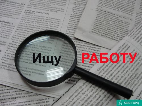В этом году впервые пройдет Всероссийская ярмарка трудоустройства