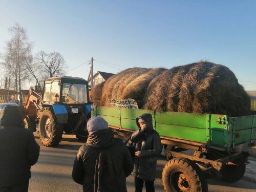 В Тетюшах состоялась сельхозярмарка