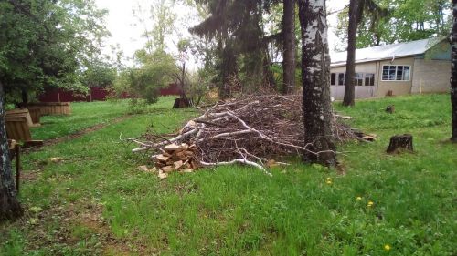 Зачем в старину, 30 мая, произносили заговоры и совершали обряды