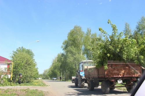 Как проходит благоустройство в Тетюшах
