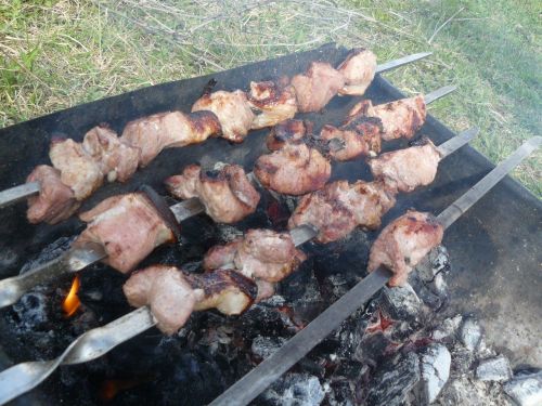 Патяшина: Заразиться сальмонеллезом можно через непрожаренный куриный шашлык