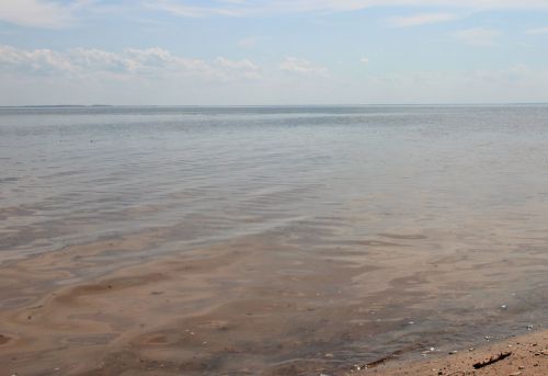 В Татарстане ищут тело девушки, утонувшей в реке Ик