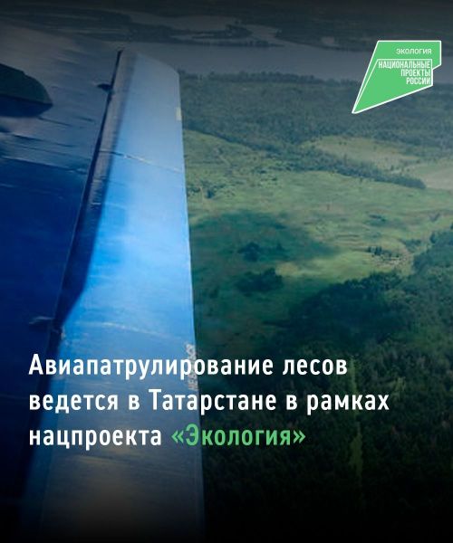 В рамках нацпроекта в лесах Татарстана провели 30 авиапатрулирований