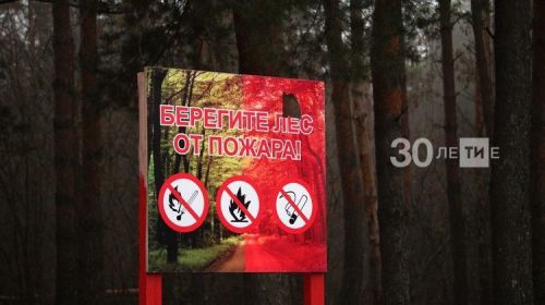В Татарстане вновь введено ограничение на посещение лесов на 21 календарный день