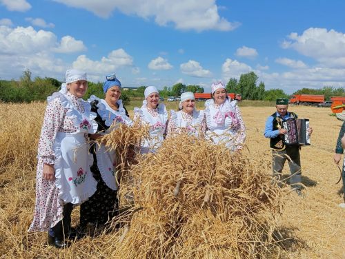В селе Бакрчи провели старинный обряд жатвы зерновых