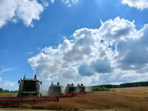 Уборочная страда на полях села Бакрчи