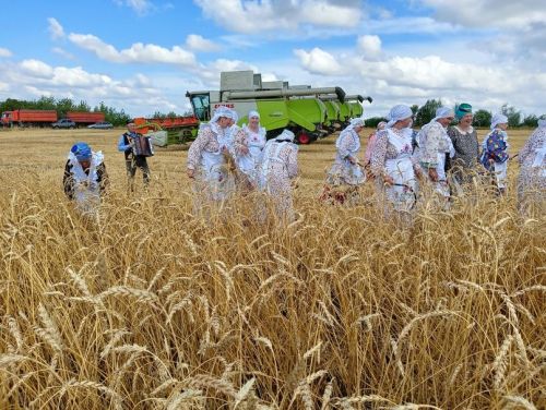В селе Бакрчи провели старинный обряд жатвы зерновых