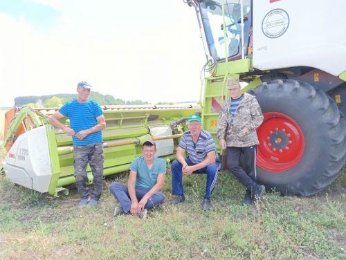 Уборочная страда на полях села Бакрчи