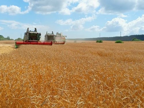 Уборочная страда на полях села Бакрчи