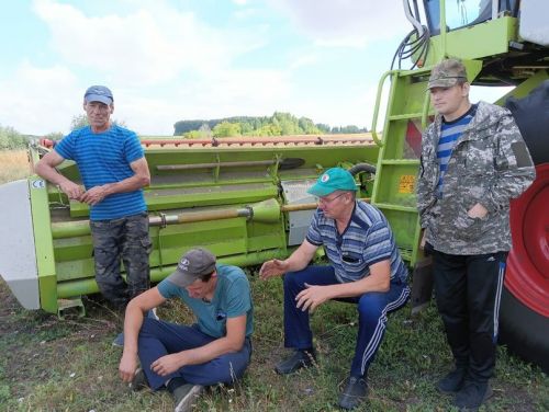 Уборочная страда на полях села Бакрчи
