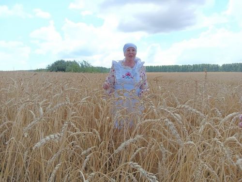 В селе Бакрчи провели старинный обряд жатвы зерновых