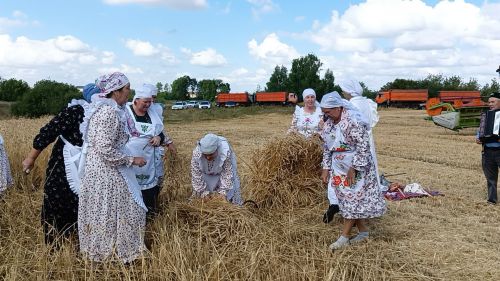 В селе Бакрчи провели старинный обряд жатвы зерновых