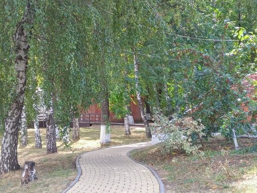 О погоде в Тетюшах 31 августа 2023 года: тепло и без осадков
