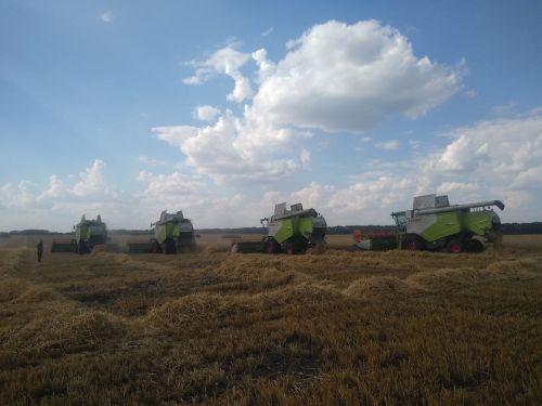 Тетюшане получили высокую оценку