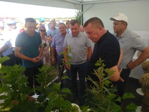 Тетюшане получили высокую оценку