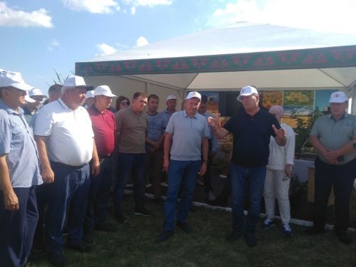 Тетюшане получили высокую оценку