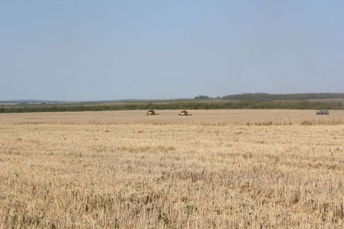 В честь участников уборочных работ прозвучали песни