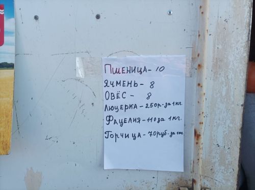 Сегодня в Тетюшах был открыт осенний ярмарочный сезон