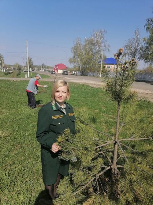 Урманчылар гаиләсеннән