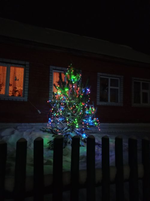 Милена - участница фотоконкурса «Ваша елка хороша, а наша лучше»