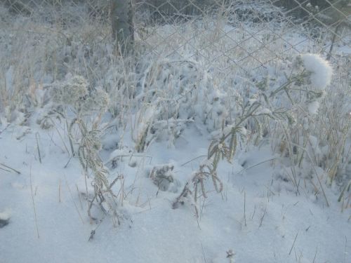 О погоде в Тетюшах 14 января: потеплееет до -18˚