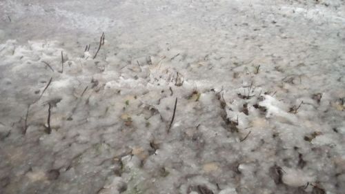 Как в кино:  в Татарстане подросток поскользнулся и получил перелом ноги