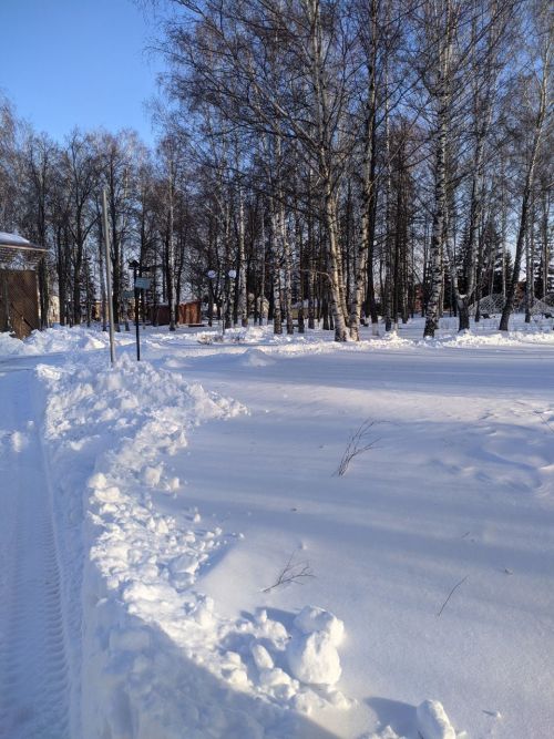 О погоде в Тетюшах 31 января: на дорогах гололедица, местами сильная