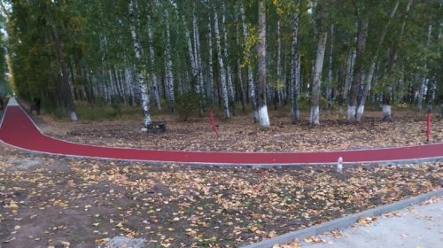 Погода в Тетюшах  11 октября: воздух днем прогреется до + 7˚