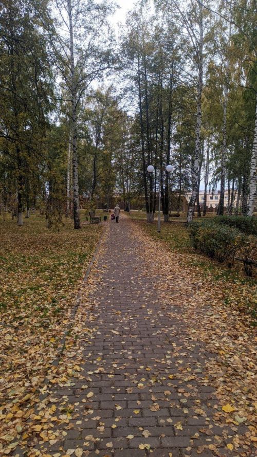 По Татарстану, 14 октября, ожидается до +11˚ днем