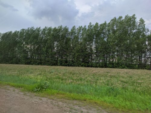 Погода в Тетюшах 15 октября: в ночные часы подморозит до -5˚