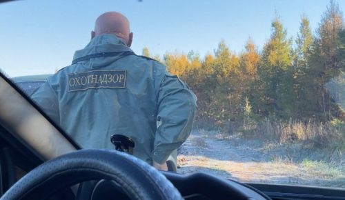 В Татарстане с 16 октября введены временные ограничения на все виды охоты