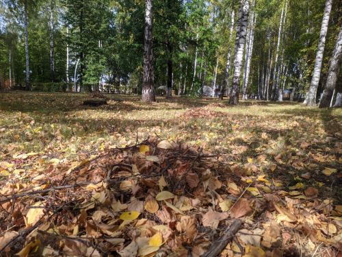 Погода в Тетюшах 18 октября: дождь и мокрый снег