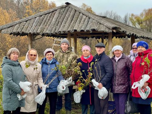 Саженцы - за подписку на районную газету