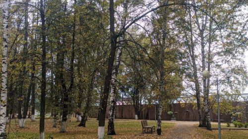 Погода в Тетюшах 10 октября: ночью местами небольшой дождь