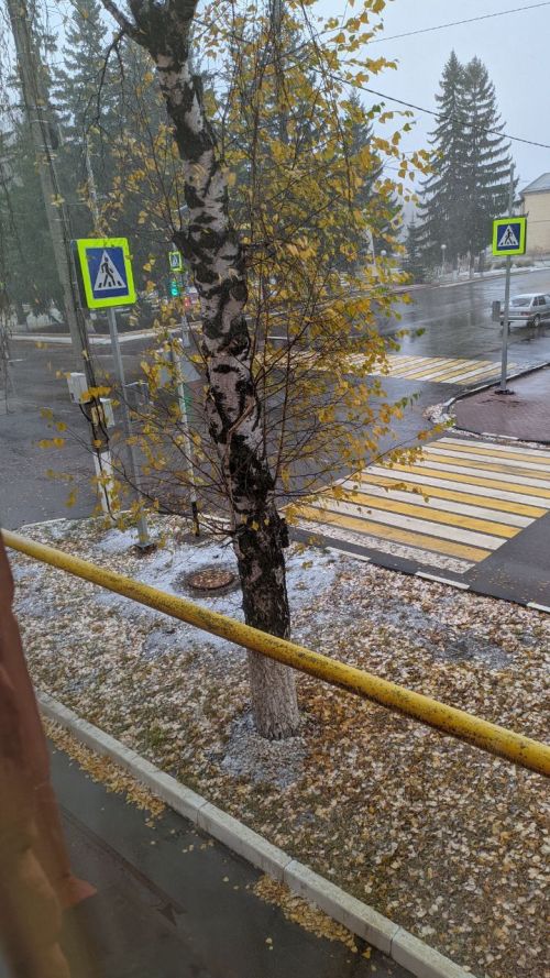 По Татарстану ожидается сильный ветер и кратковременная метель с ухудшением видимости