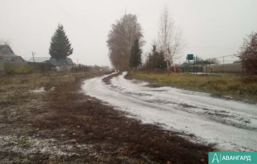 Погода в Тетюшах 22 ноября: мокрый снег и сильный ветер порывами до 25 м/с