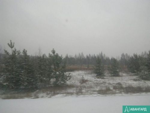 Погода в Тетюшах 25 ноября: возможны осадки  осадки в виде мокрого снега