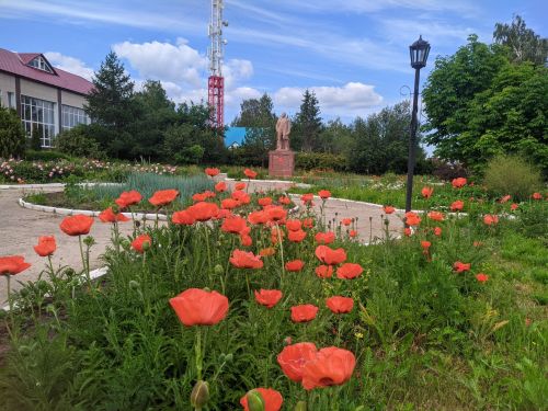 Жители Татарстана могут участвовать в написании «Экодиктанта»