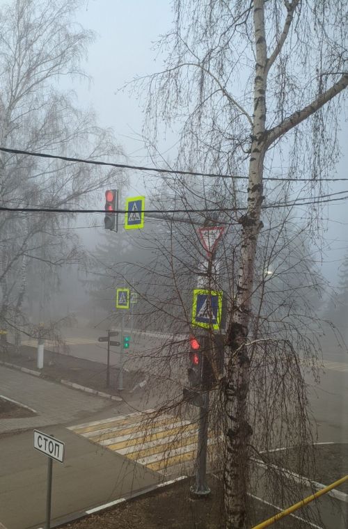 По Татарстану вновь сильный туман