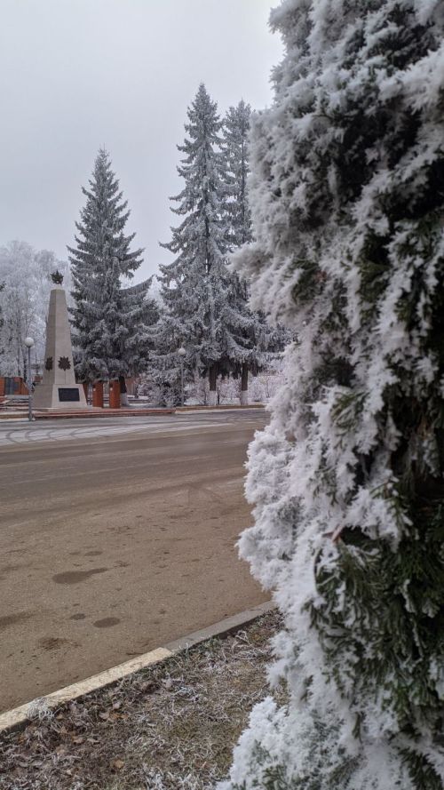 Погода в Тетюшах 28 ноября: выпадут осадки в виде мокрого снега