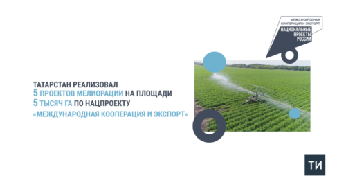 В Татарстане реализуются проекты мелиорации на площади 5 тысяч га